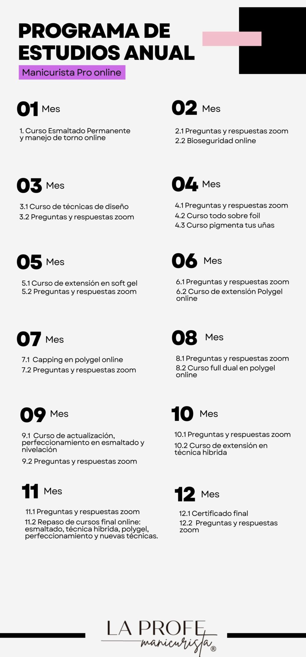 02 Plan anual Manicurista Pro online - Imagen 2